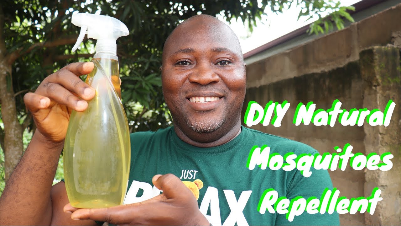 DIY Mosquitoes Repellent Natural Way To Get Rid Of Mosquitoes With