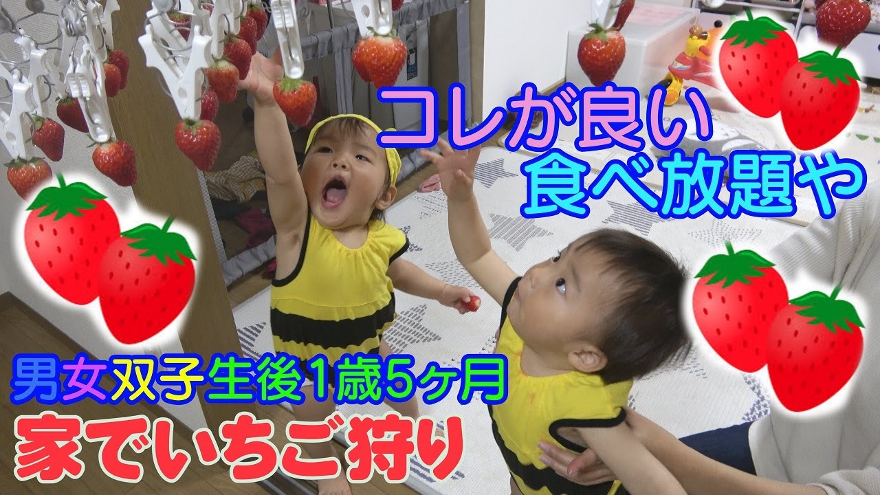 家でいちご狩り 何個食べるかな 男女双子赤ちゃん生後1歳5ヶ月mix Twins Gather Strawberries In A House Youtube
