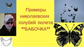 Николаевские голуби Вадима