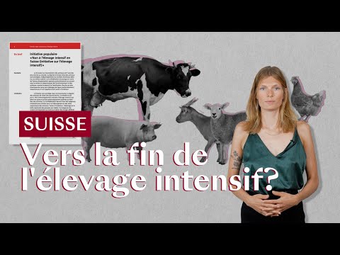 Vidéo: Faut-il continuer la pratique de l'élevage sélectif ?