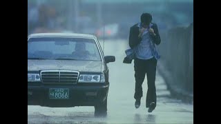 [Sparklehorse] Painbirds (City Of The Rising Sun 1998)