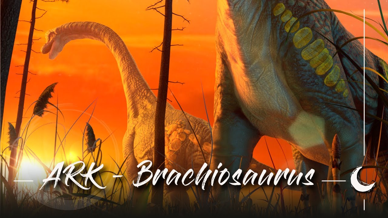 3D Creature Turntable ☆ Brachiosaurus // made for 'ARK Survival Evolved