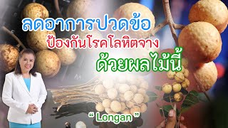 รู้หรือไม่ !! ลดอาการปวดข้อ ป้องกันโรคโลหิตจาง ด้วยผลไม้นี้ | Longan | พี่ปลา Healthy Fish รู้หรือไม่ !! ลดอาการปวดข้อ ป้องกันโรคโลหิตจาง ด้วยผลไม้นี้ | Longan | พี่ปลา Healthy Fish