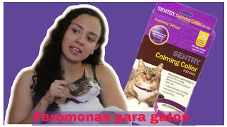 Collar Para Gatos Con Feromonas. Ayuda A Quitar El Estrés Y Malos Comportamientos
