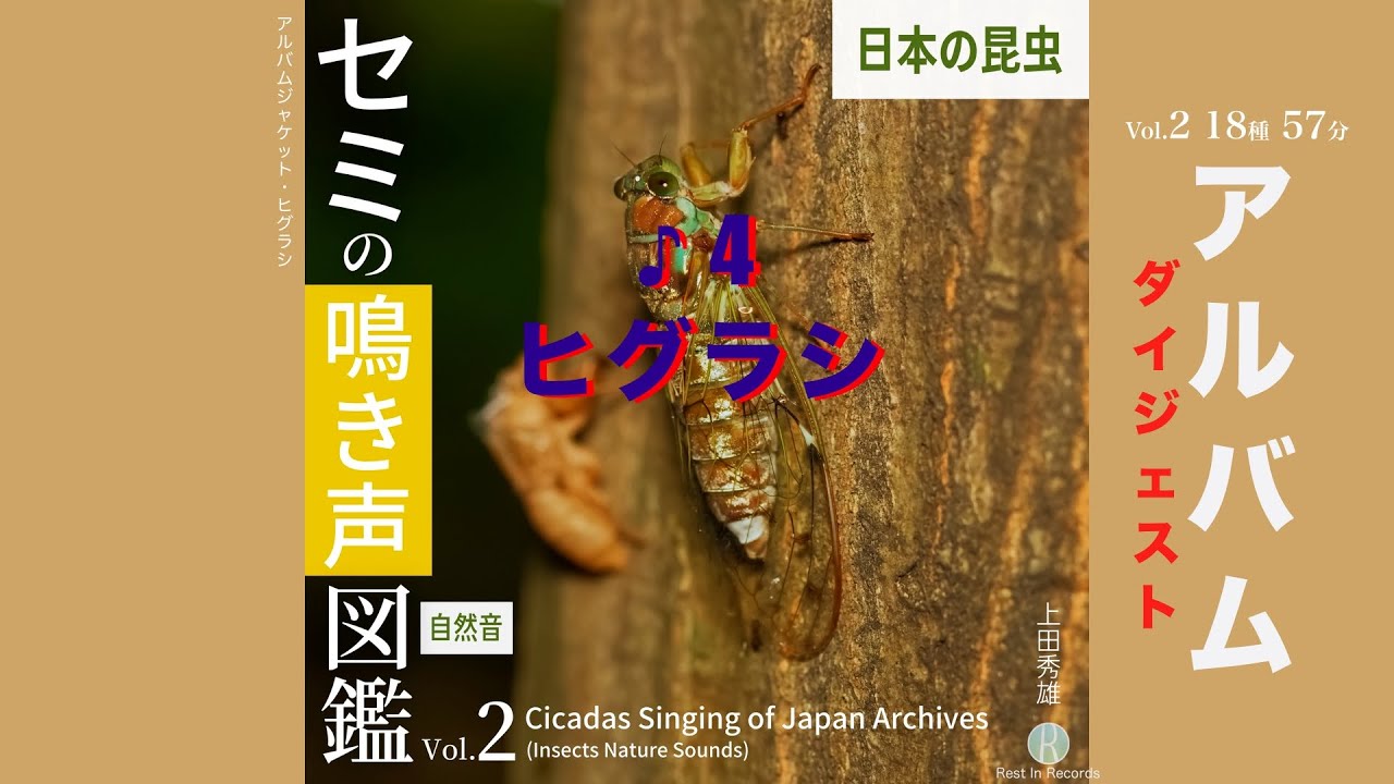 聞きにくい超高音声も セミの鳴き声図鑑Vol .2 アルバム ダイジェスト