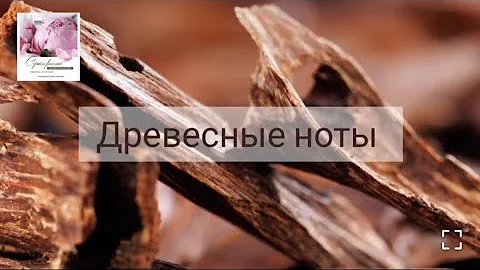 Ароматы жизни - древесные ноты
