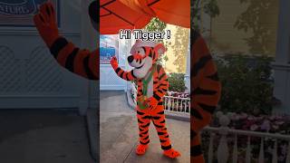 Tigger Dance