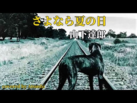 さよなら夏の日　山下達郎　cover