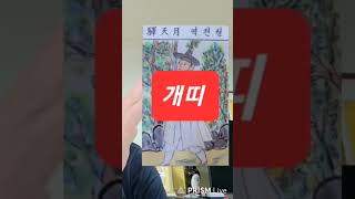 개띠 오늘의운세 2024년5월2일 목요일 운세 총운 금전운 재회운 연애운 길한색 길한방향 등 용띠운세 뱀띠운…
