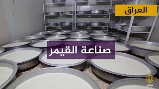 قرية عراقية تشتهر بصناعة القيمر من حليب الجاموس.. تعرف عليها