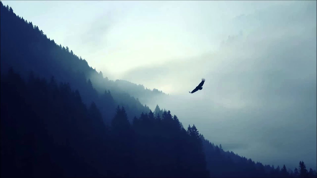 Watch Sean Mackey - Mountain Republic (Electus Remix) on YouTube Watch Sean Mackey - Mountain Republic (Electus Remix) on YouTube