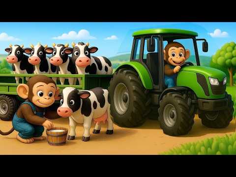 🐒🐱Funny Monkey & Kitten vs Sneaky Hyenas 😂 🐒🐱 farm monkey nana funny