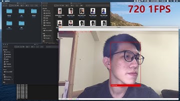 Face Rec via Python OpenCV PyTorch Network