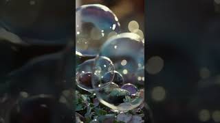 Soap bubbles burst in pure ASMR 🫧✨