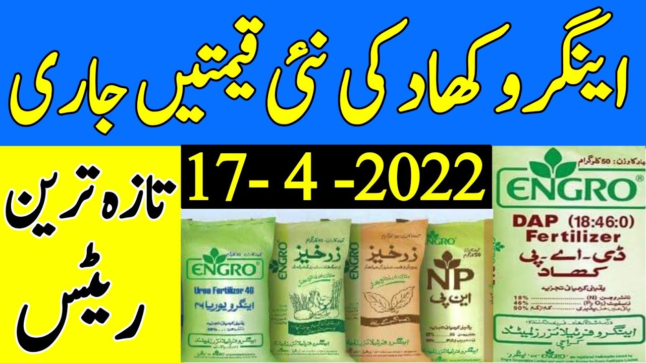 Today Engro Fertilizers prices in Pakistan Today Engro DAP Rates