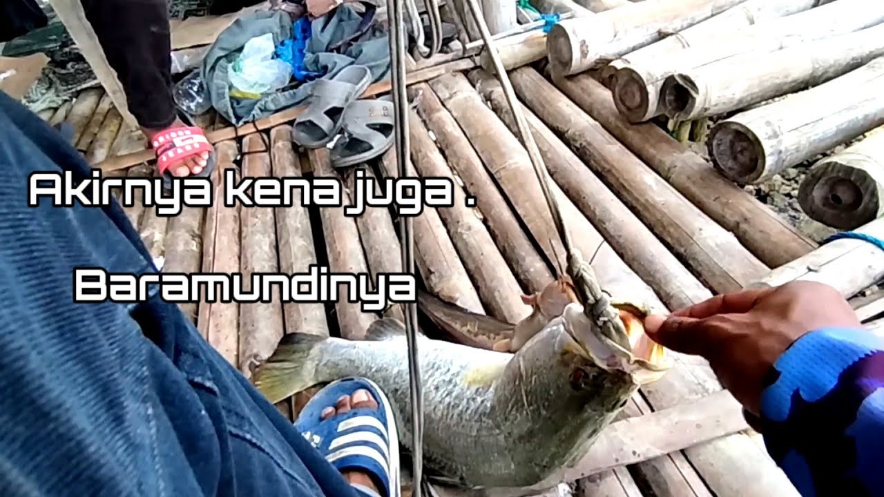 #Mancing