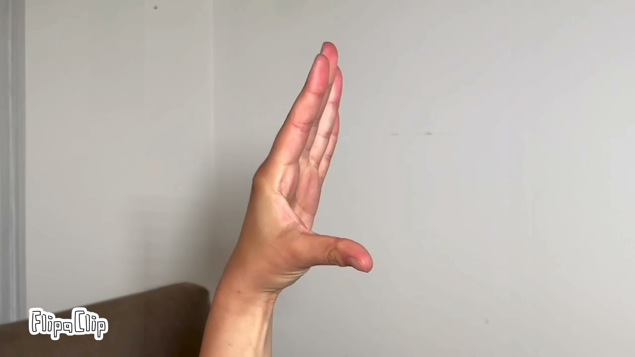 Template Hand Puppet SYSTEMX