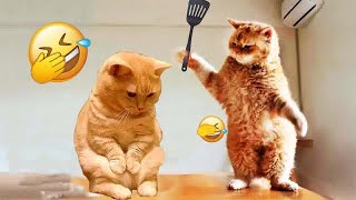 The Most Dramatic Dogs and cats are Waiting for You here!FUNNIEST Animal Videos 2024#12