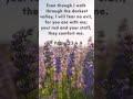 Even in the darkest valley--God is there. I won't be afraid. Psalm 23:4
