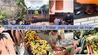 VLOG NA FEIRA COM A LUCILDA / FRUTAS  NOVAS PARA A ROÇA  + ALMOÇO 