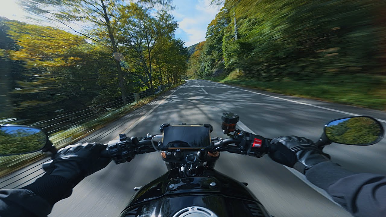 YAMAHA XSR900 | Ride on forest roads | Akrapovic Exhaust【4k】