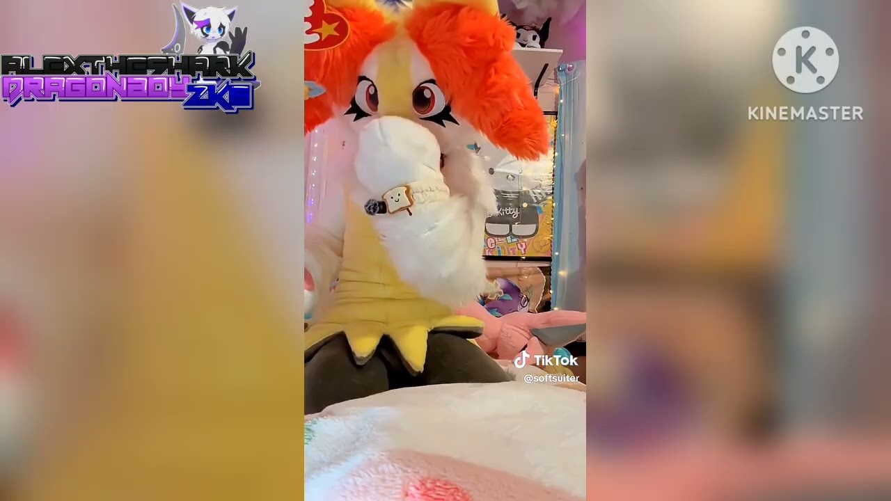 Braixen Asmr (Video by Softsuiter) (Full Screen Edition)