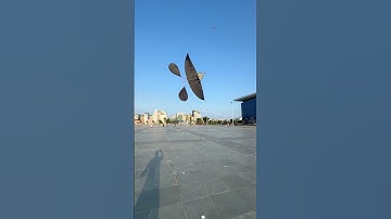 Thả diều bay kiểu gì thế này tí nữa thì toang bộ sáo…#layangan #kite #patang #xuhướng #diềusáo