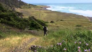 The Lost Coast Trail