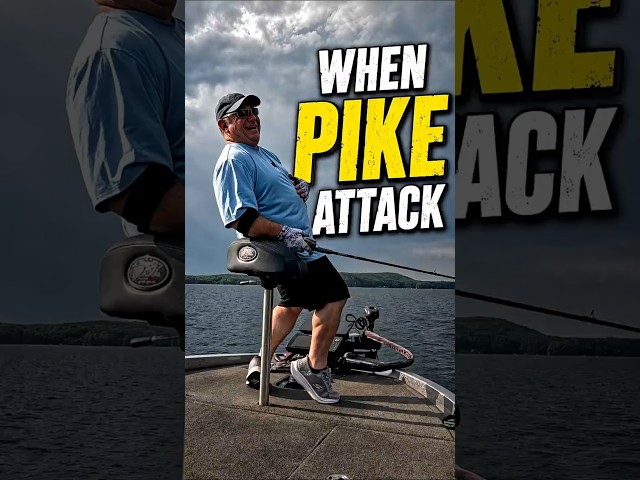 When Pike Attack