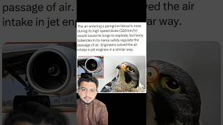 Peregrine Falcon Ka Secret! Nature Se Copy Kiya Gaya Jet Engine Design | Biomimicry Explained