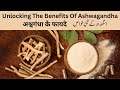 Unlocking The Benefits Of Ashwagandha