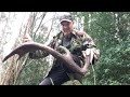 A Huge Red Deer Stag Antler 3.8KG !!! Cast Antlers Hunting, Shed Hunting. Zrzuty jelenia poroza
