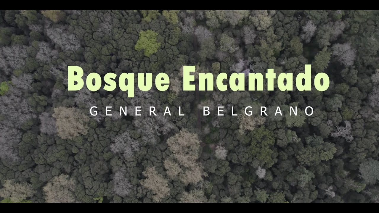 Bosque Encantado General Belgrano, Buenos Aires. Drone DJI Air 2S