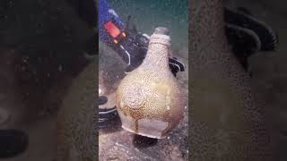 Archaeologists Confirm the Identity of a 17th Century Dutch Warship #history
An unknown Protected Wreck off the coast of Sussex has been identified as the 17th-century Dutch warship Klein Hollandia.
Built in 1656 and owned by the Admiralty of Rotterdam, the ship was involved in all major battles in the second Anglo-Dutch War between 1665 and 1667. Archaeologists Confirm the Identity of a 17th Century Dutch Warship #history