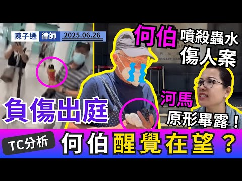 何伯噴殺蟲水案上庭!負傷現身屯門裁判法院|准1千元保釋候訊!庭上透露已搬屋|與何太互襲案後續法律程序如何?|TC分析:何伯終醒覺?河馬人設徹底崩壞!|陳子遷律師 TC Chan Episode cover