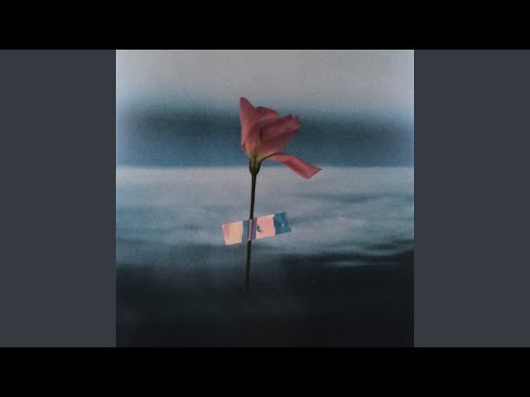Will Samson - Lacuna