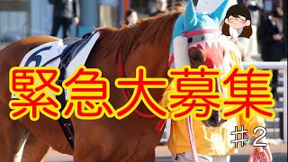 馬主になりたい方必見！シャークファング、シャークシャイニー、ホワイトシャイニーオーナー鮫島夫妻に馬主になれる秘訣を教えて貰いました