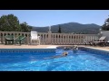 Aurien Sangre de Lobo - con sus padres en la piscina - 11 semanas