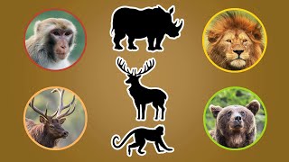 Guess The Animal For Kids | Wild Animal Guessing Quiz For Kids | Ultimate Guessing Games Animal 🦁 screenshot 4