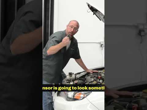 Mso Meaning Auto