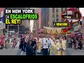 DA ESCALOFRÍOS miles SALIERON EN NEW YORK  Y LA REACCIÓN DE LA GENTE AL VER AL SANTÍSIMO!