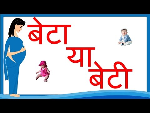 वीडियो: यह बचाव बिल्ली का बच्चा आपके डांग सपने की Fluffy प्यारी है