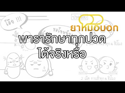 ยาหมอบอก [by Mahidol] พารารักษาทุกปวดได้จริงหรือ