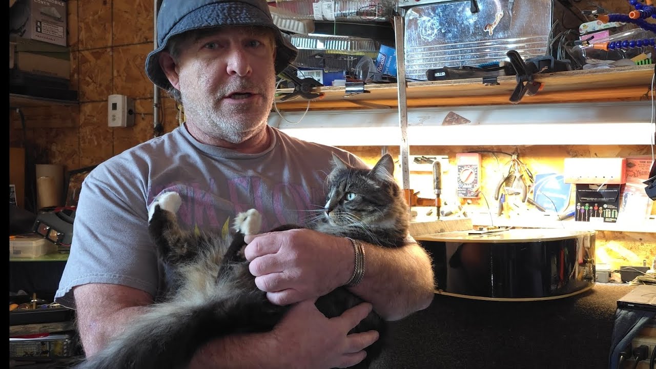 Guitar repair.  How to remove fret wire from your guitar or bass. my approach and basic tips . 2024