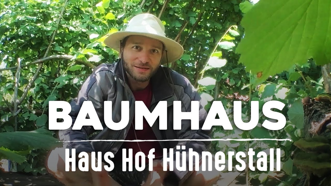 einfache baumhausideen für kinder selber bauen diy baumhaus für kinder selber bauen youtube einfache baumhausideen für kinder selber bauen diy baumhaus für kinder selber bauen youtube
