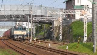 3075レ EF64 1016号機 清水~草薙