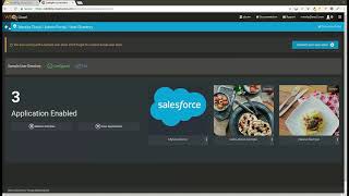 Configuring Custom Themes, WSO2 Identity Cloud Screencast