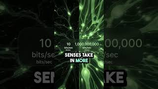 Your brain processes information every single second...