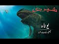 Superbook urdu        in the belly of a fish  ep201