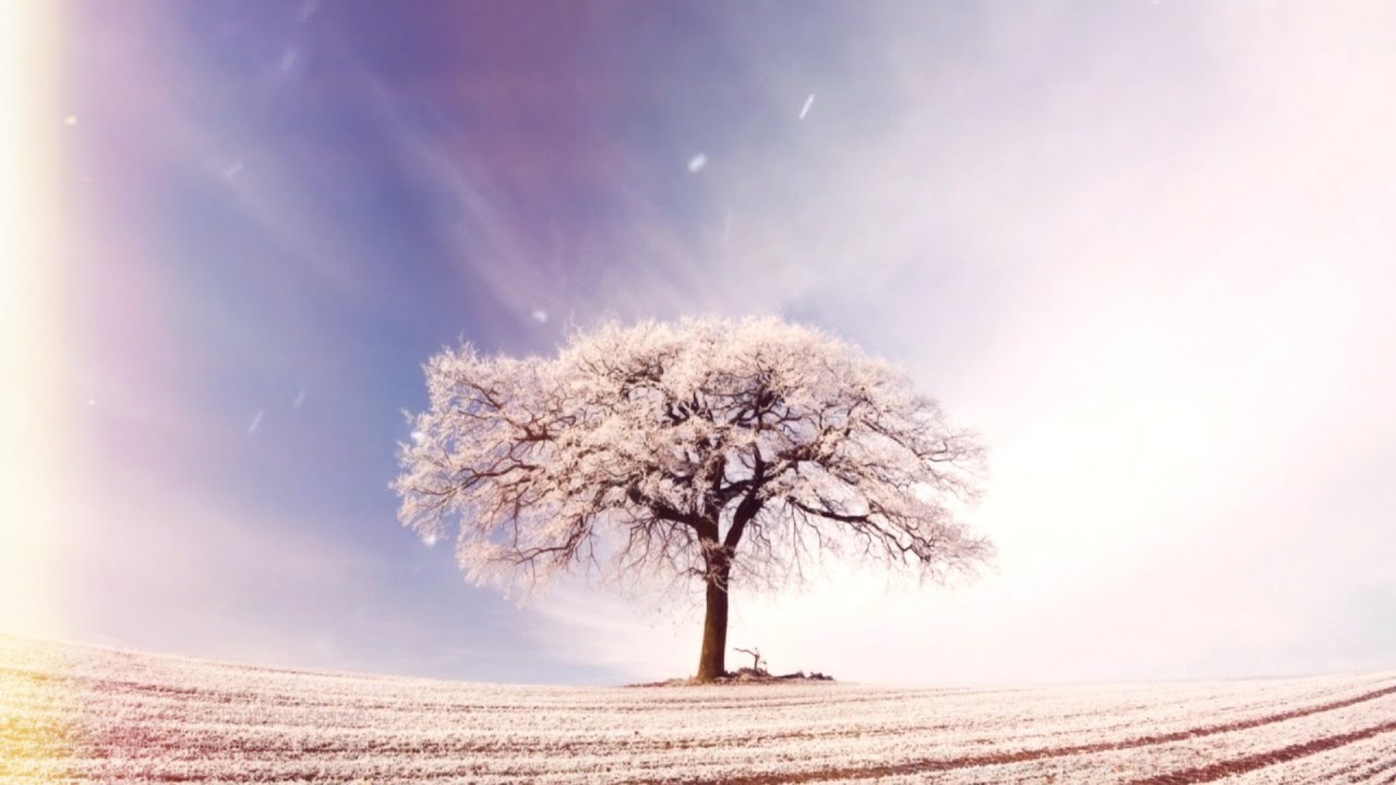 Beautiful Relaxing Music for Stress Relief ~ Calming Music ~ Meditation, Relaxation, Sleep, Study